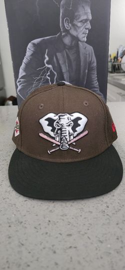 Fitted Hats 