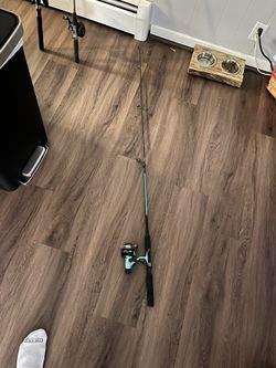 5ft Fishing Rod