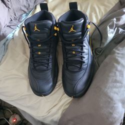 Taxi Cab Jordan 12s