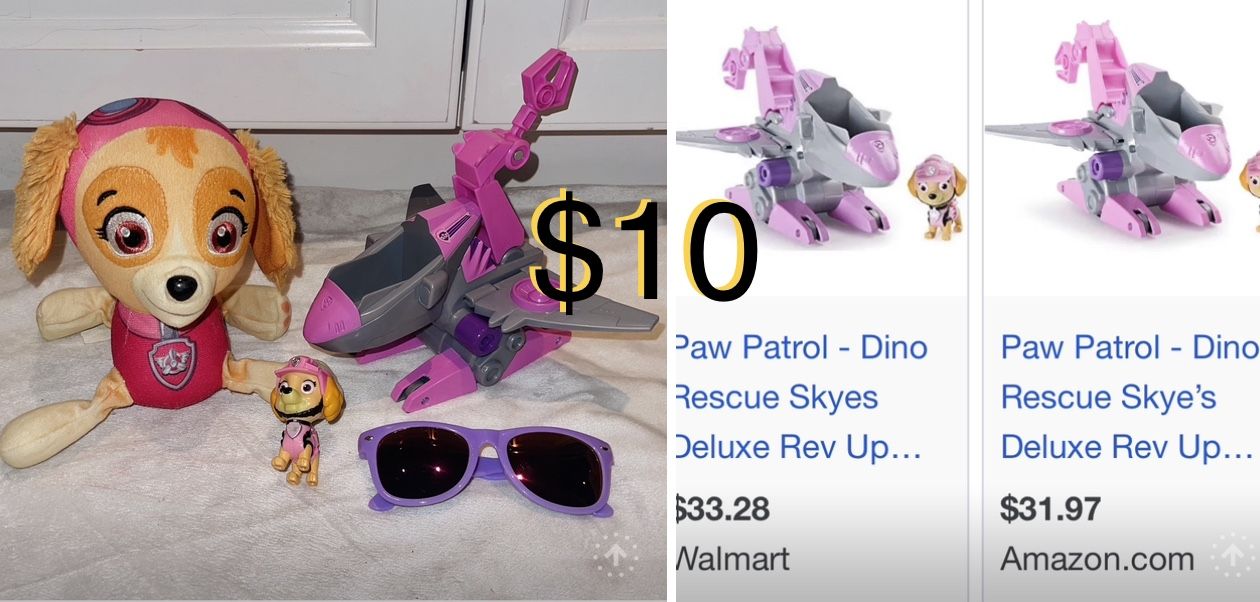 $10 Bundle Paw Patrol Rescue Skyes Deluxe + Plushy and sunglasses