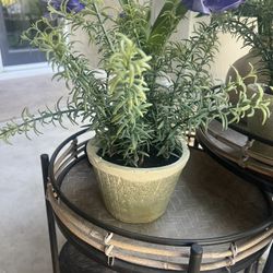 Artificial Plants And Flowers And 3 Outdoor Tables 