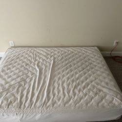 Dog Mattress