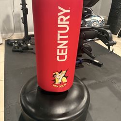 King-Fu Sparring Bag
