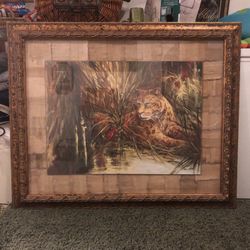 Safari Tiger Picture 