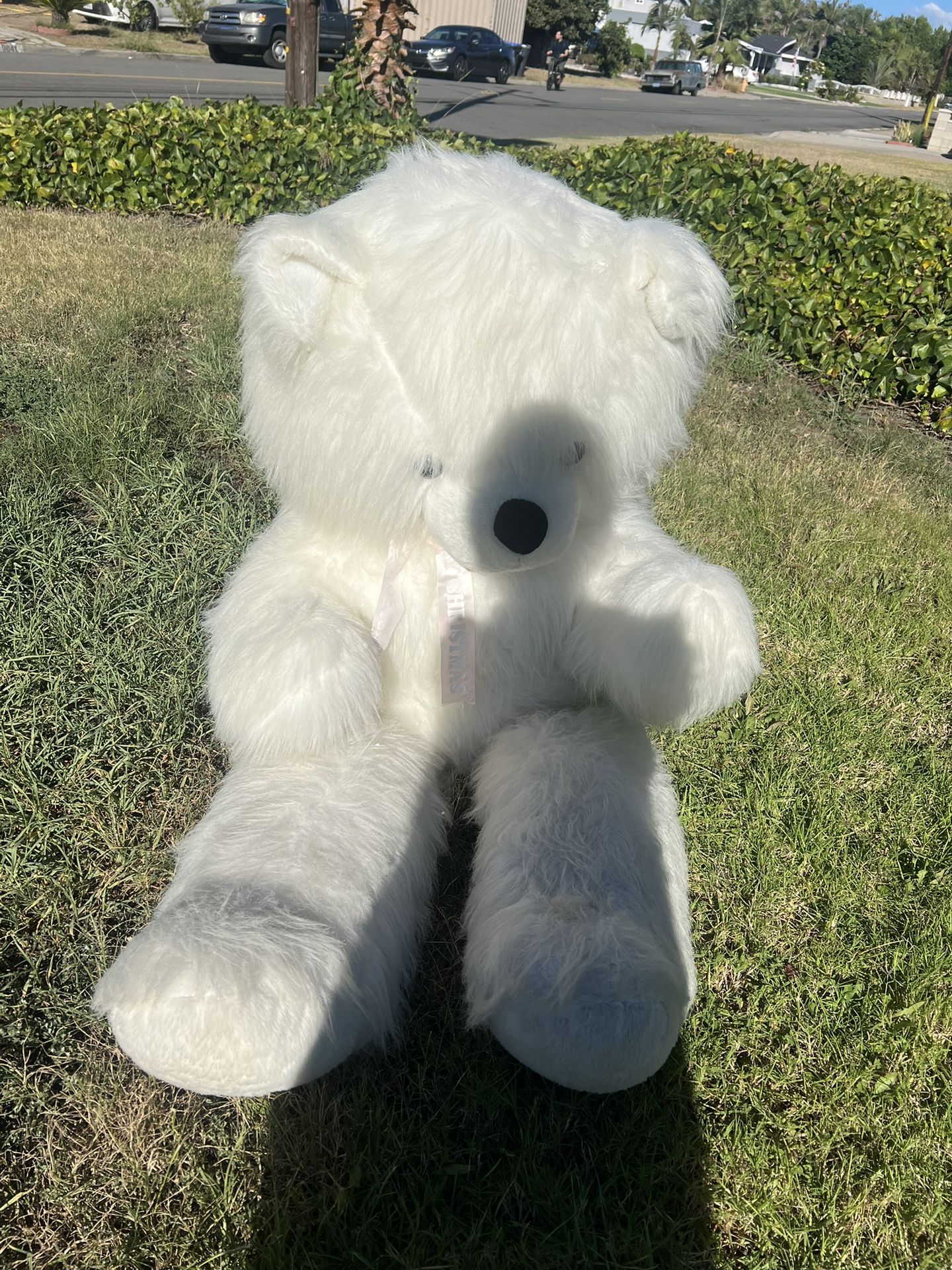 Big Teddy Bear 5.6 Tall 