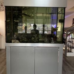 Fish Tank 200g