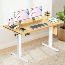 55" x 24" Electric Height Adjustable Standing Desk with Memory Presets, Ergonomic Sit-to-Stand Desk for Home Office, Natural