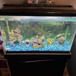 29 Gallon Aquarium 
