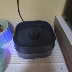 Cat Accessories/Needs 