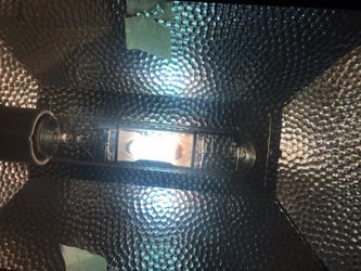 Hamilton halide lamp 250w