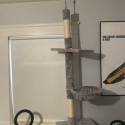 Cat Tree