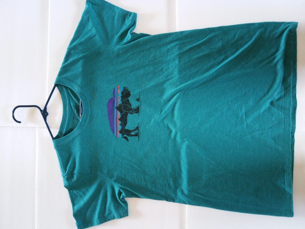 Patagonia Shirt