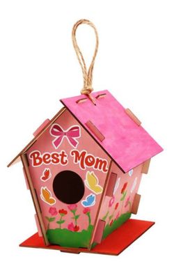 Paint and build birdhouse