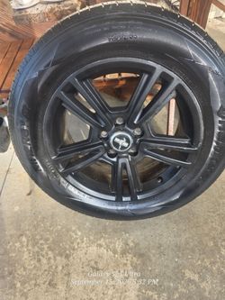 Mustang Realm with Tire