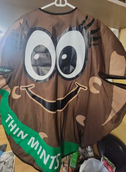 Girl scouts thin mint cookie costume