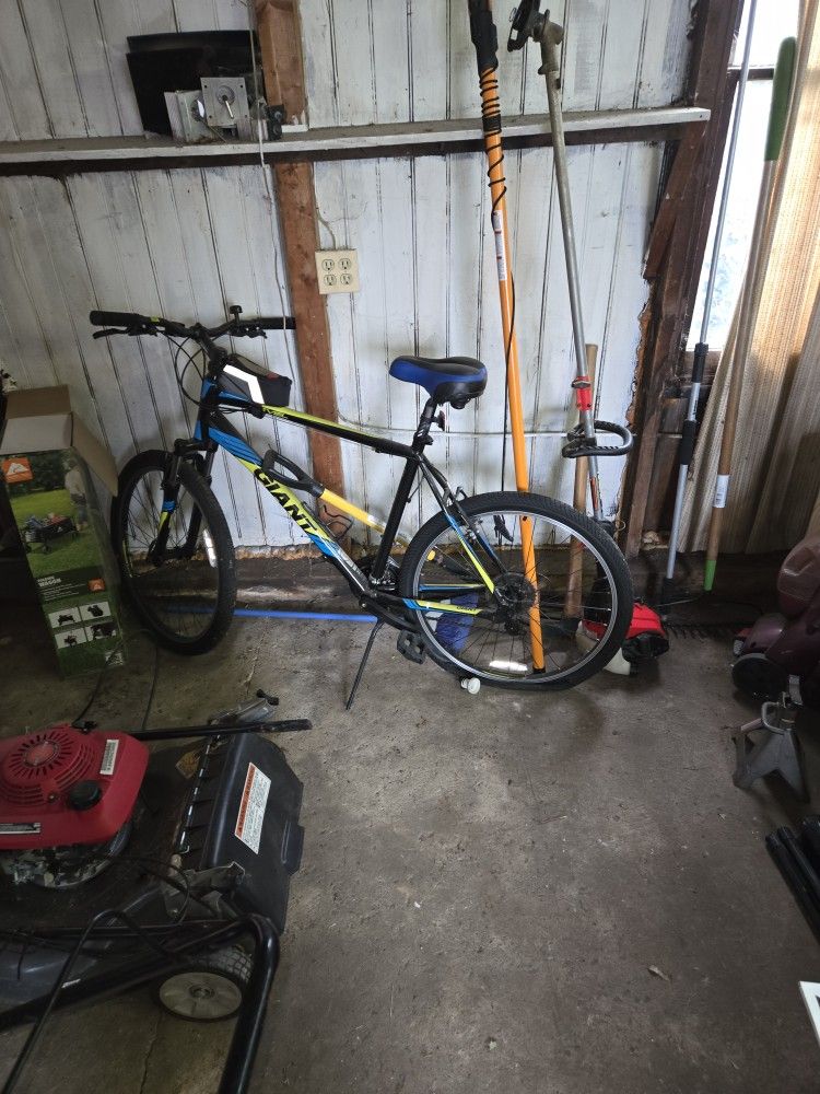 Men's Mountain Bike