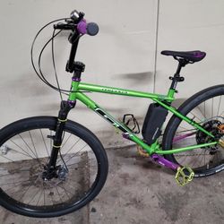 GT Converted Cruiser BMX