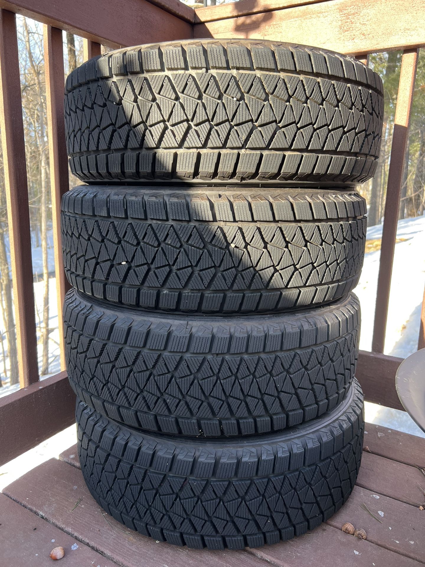 Bridgestone Blizzak DM-V2 99s