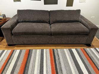 Room & Board Sleeper Sofa - Excellent Condition -$750 (60% Off!)