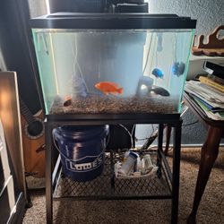 25 GALLON AQUARIUM AND STAND ONLY