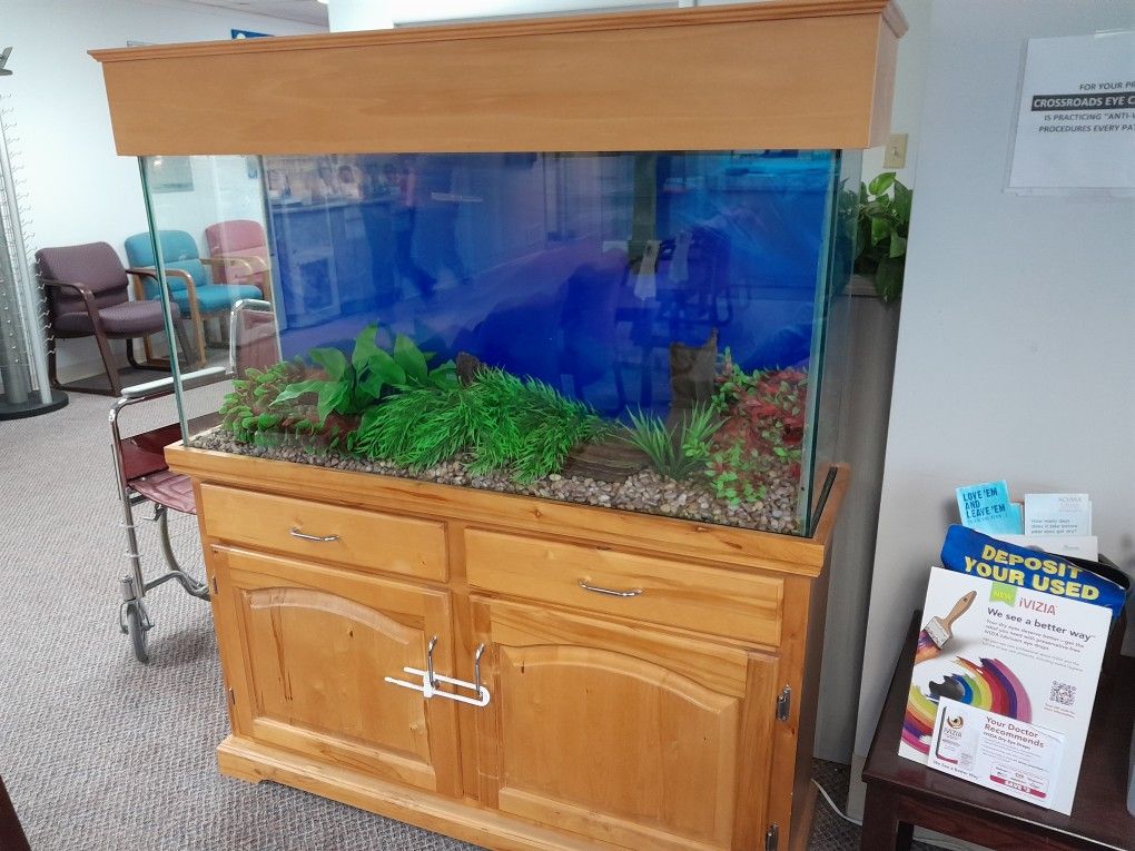 55 Gallon Fish Tank And Stand