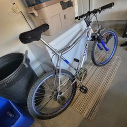 21 Speed Mountain Bike