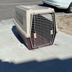 Dog Crate