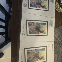 Apolosign 10.1 inches Digital Photo Frames
