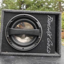 Phoenix Gold 10" Car Subwoofer With Built In Amp
