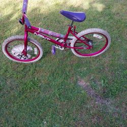 20 Inch Girls Bike 