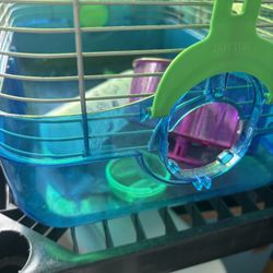 hamster cage! 