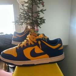 Nike Dunks Men’s Size 12