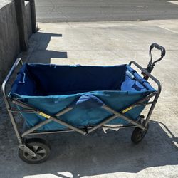 Costco Beach Wagon 