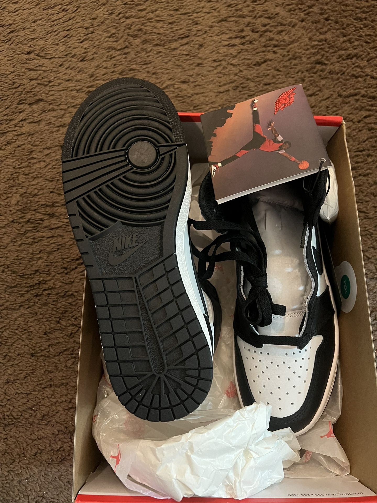 Air Jordan 1