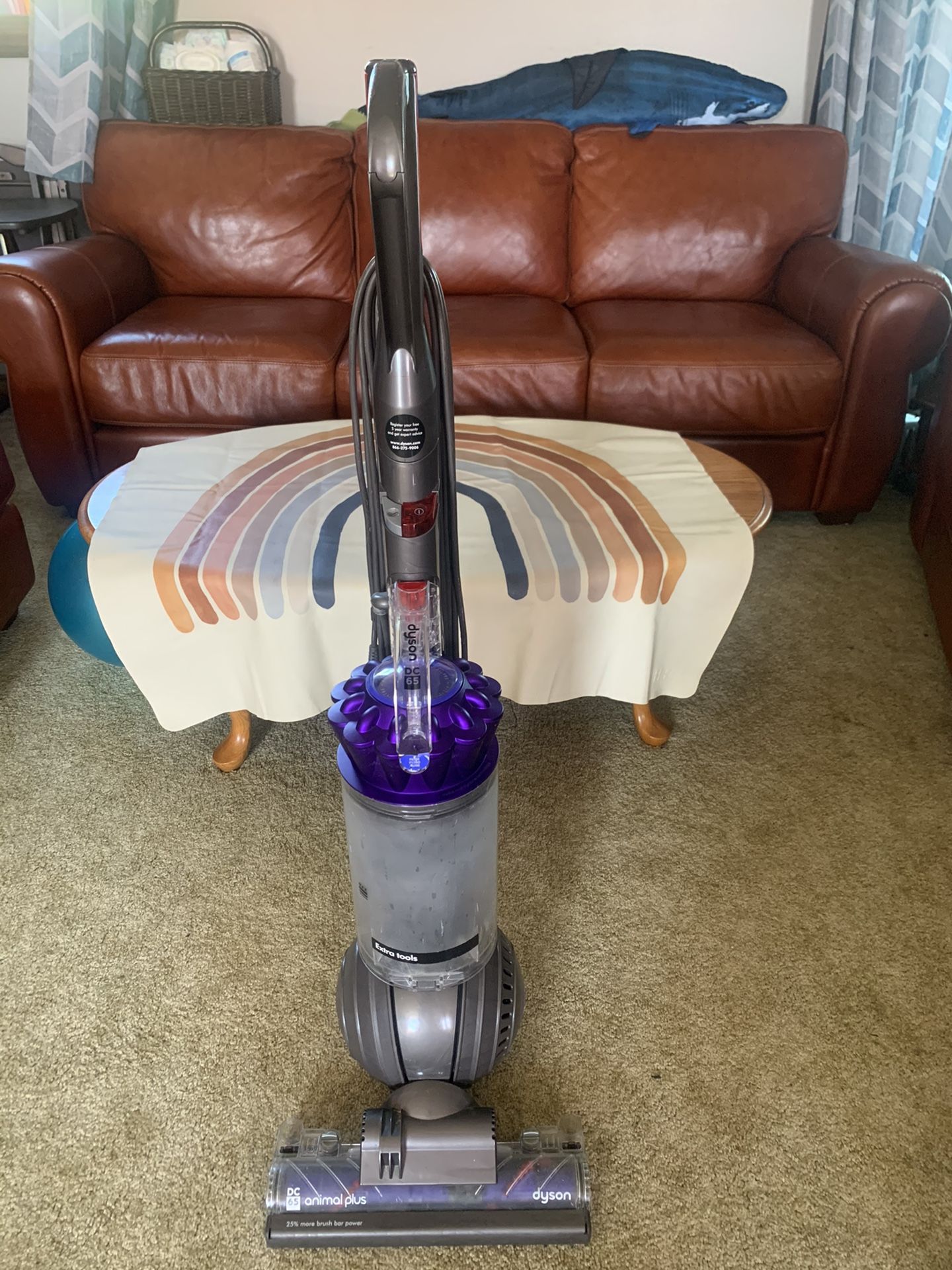 Dyson DC65 Animal Plus Vacuum