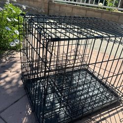 Dog Cages