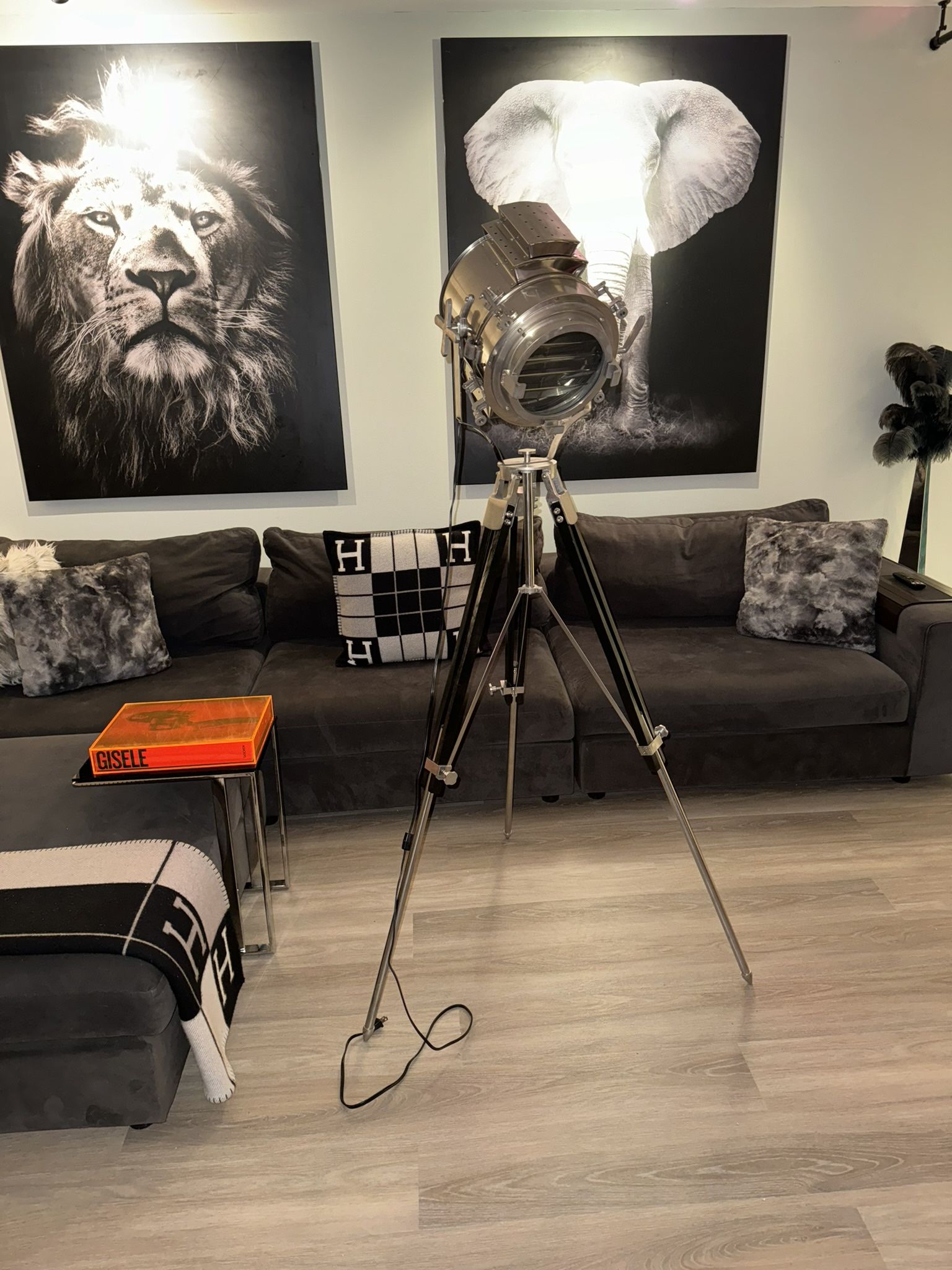 Modern Adjustable Tripod Floor Lamp – Chrome Studio Spotlight Style
