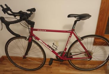 2007 Bianchi Brava 55cm