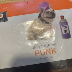 DOG COSTUM