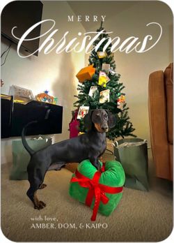 6-Foot Artificial Christmas Tree with Stand – Great Condition
