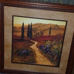 BY STEVE THOMAS.  The Arizona Desert 