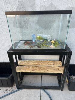 Fish Tank 20gl