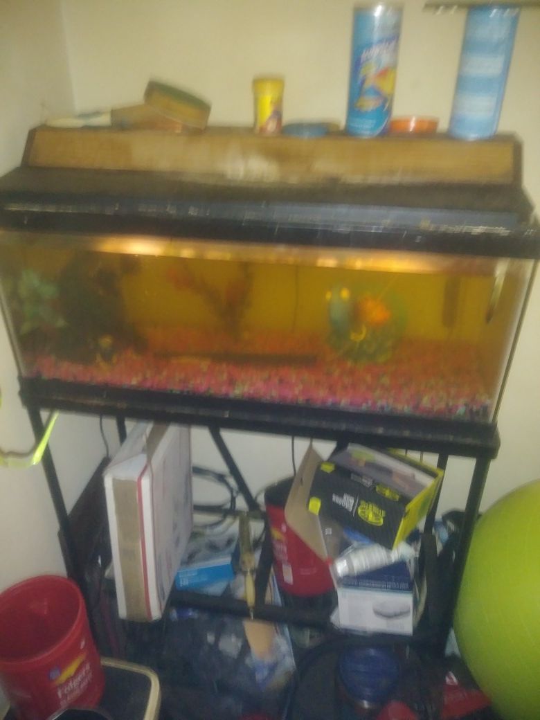 Fish tank