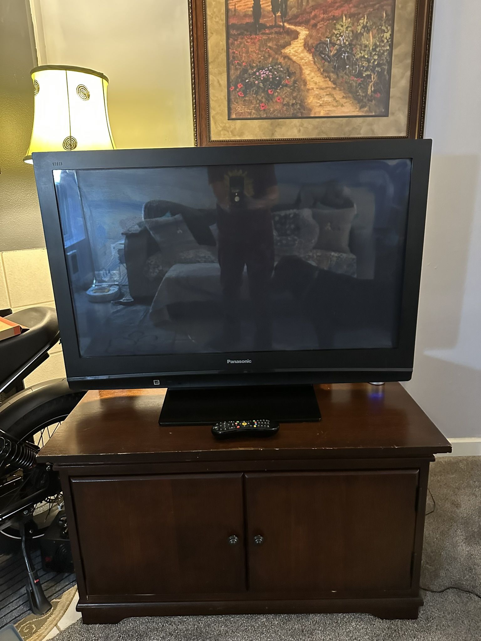 Awesome Plasma 42” Panasonic Viera TV with remote and cables (no longer made)