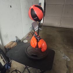 Boxing Punching Bag  Small Kids 