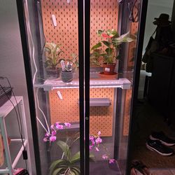 Custom indoor green house cabinet