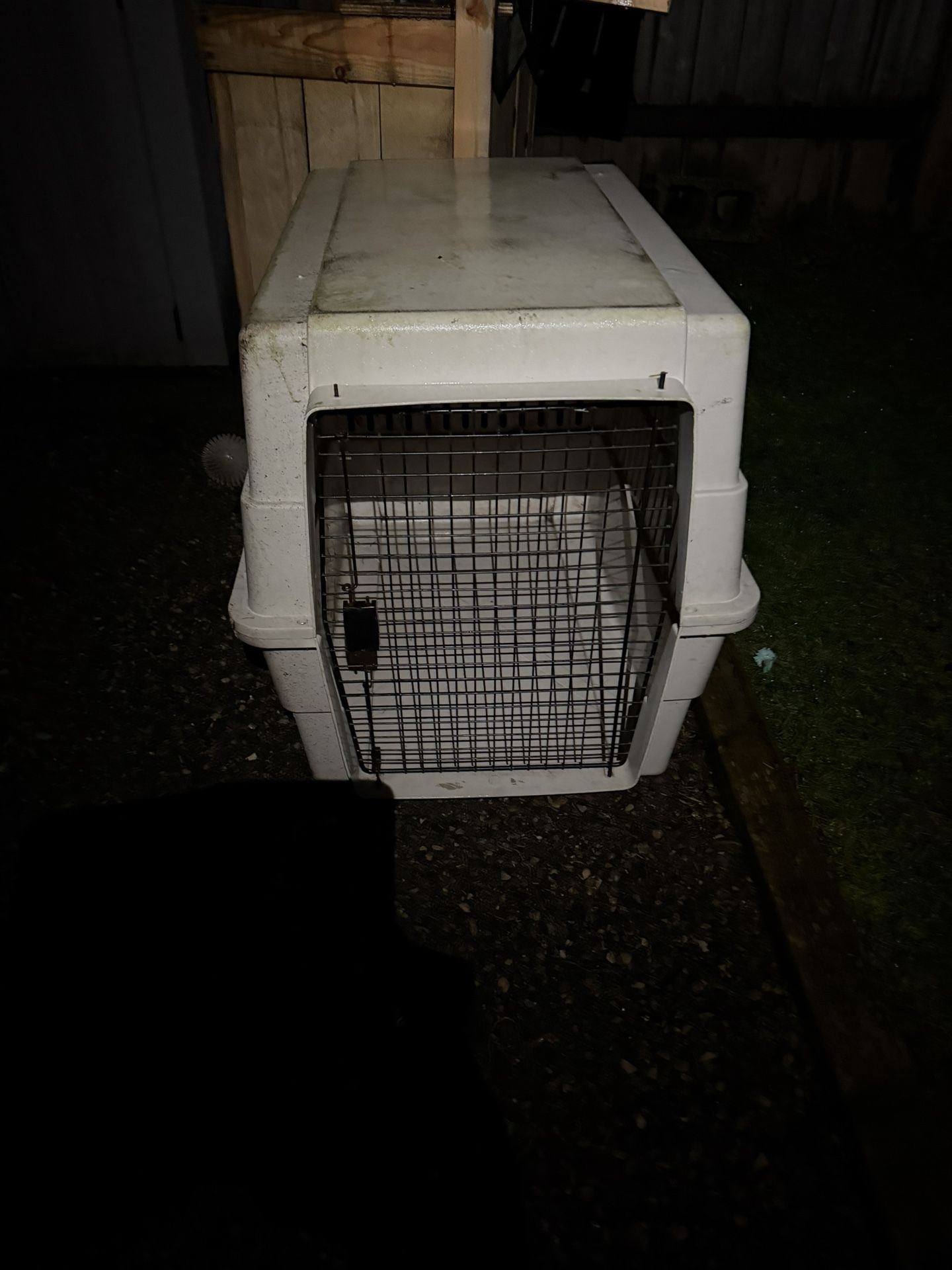 Dog Kennel
