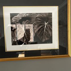 Photograph By Dan Weston