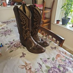 Dan Post Snake Skin Boots.