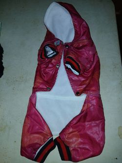 New jogging suit for a puppy dog waterproof